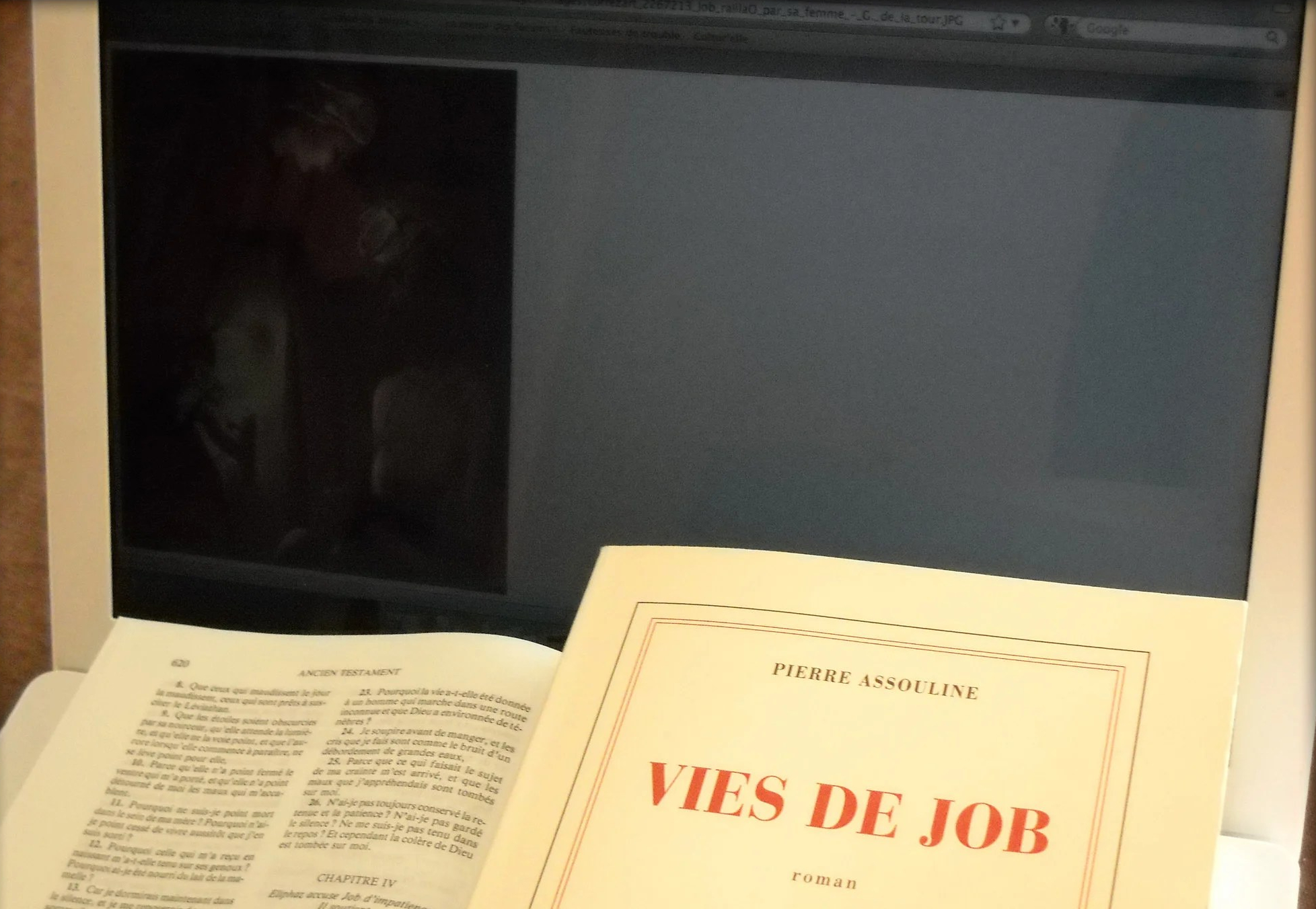 Vies de Job, de Pierre Assouline