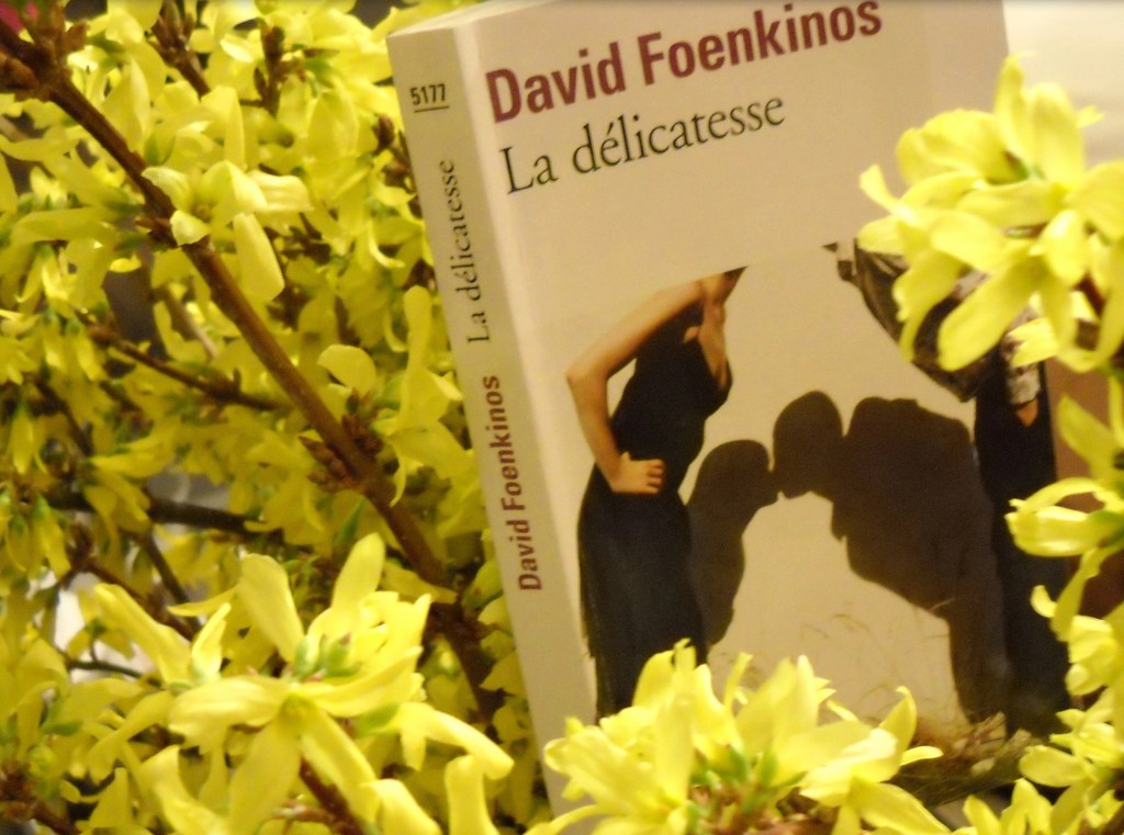 La délicatesse, de David&nbsp;Foenkinos