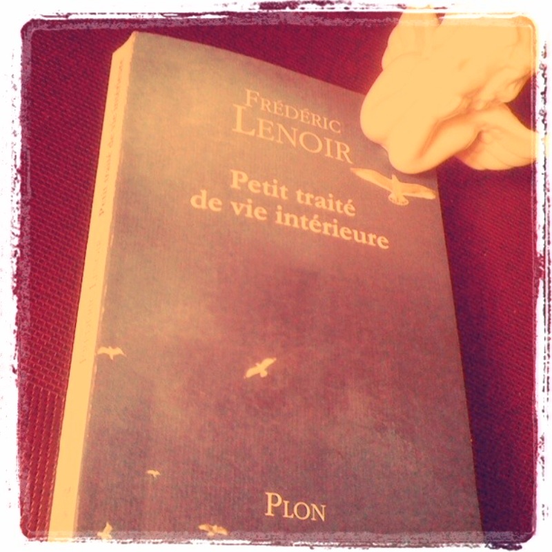 Petit traité de vie intérieure, de Frédéric Lenoir