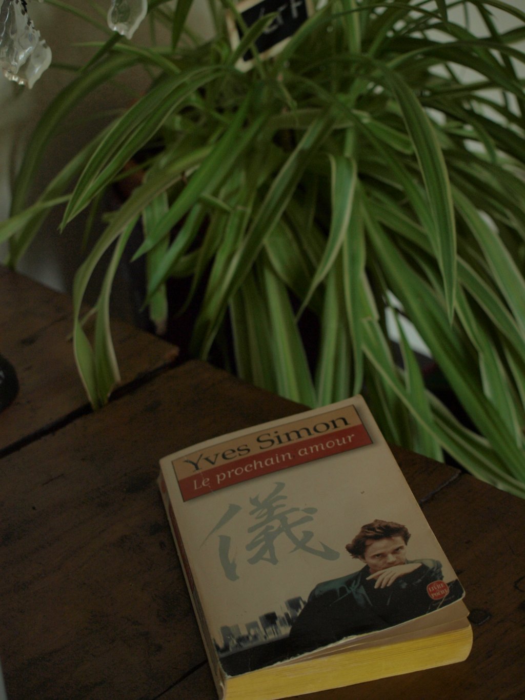Le Prochain amour, d&rsquo;Yves&nbsp;Simon