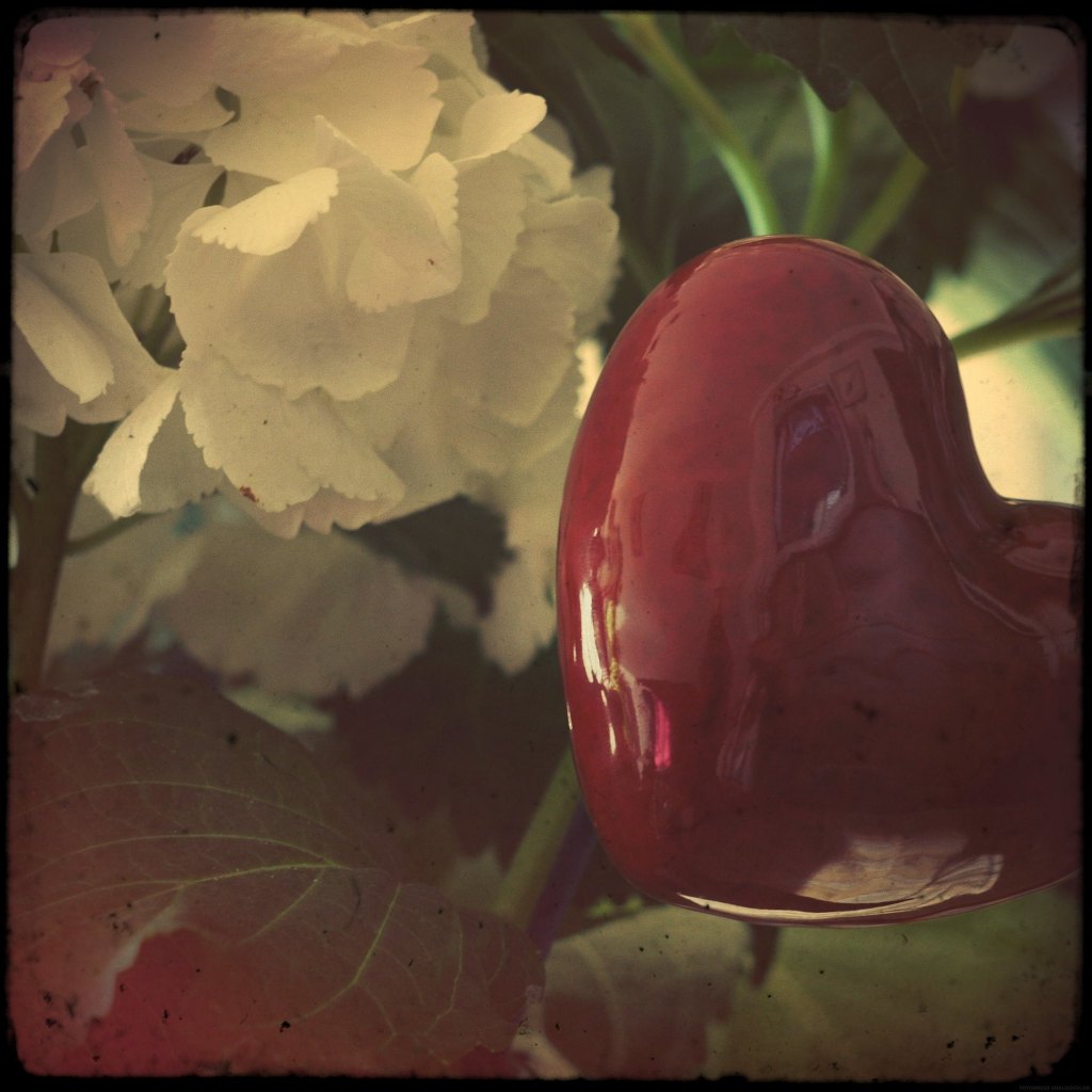 L&rsquo;amour, la révolution et autres pensées profondes…