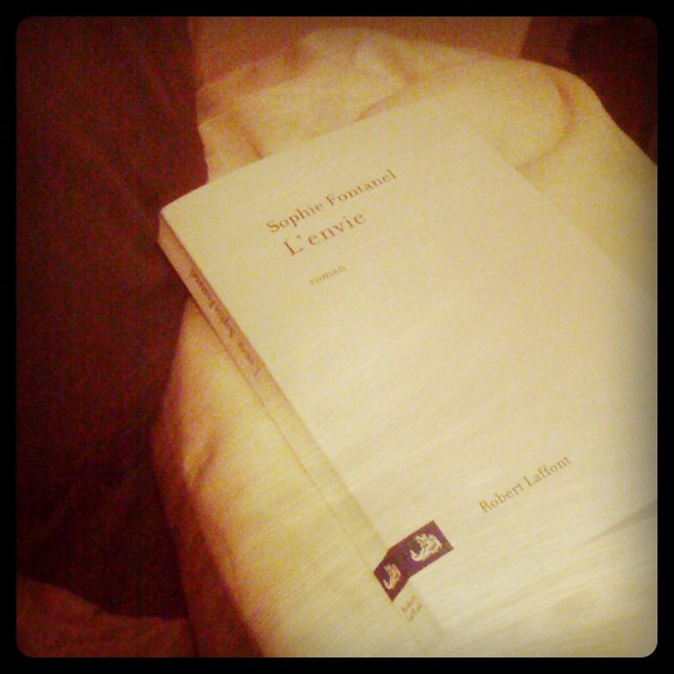 L&rsquo;envie, de Sophie&nbsp;Fontanel