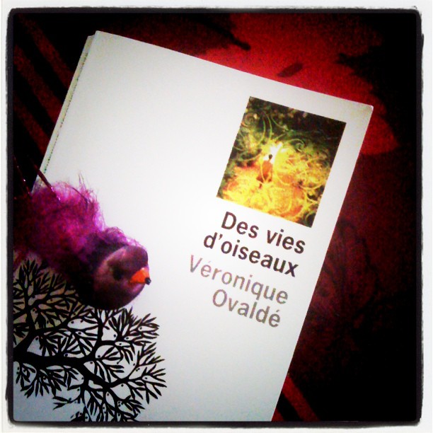 Des vies d&rsquo;oiseaux, de Véronique&nbsp;Ovaldé