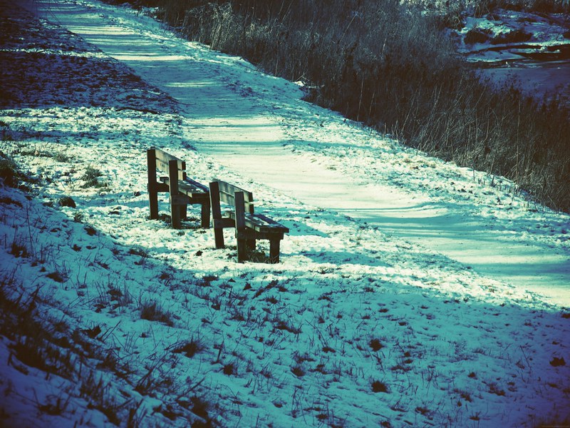 Du rêve et de la&nbsp;rêverie…