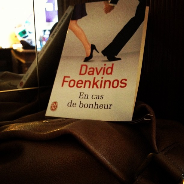 En cas de bonheur, de David Foenkinos