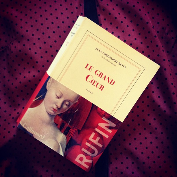 Le grand Cœur, de Jean-Christophe Rufin