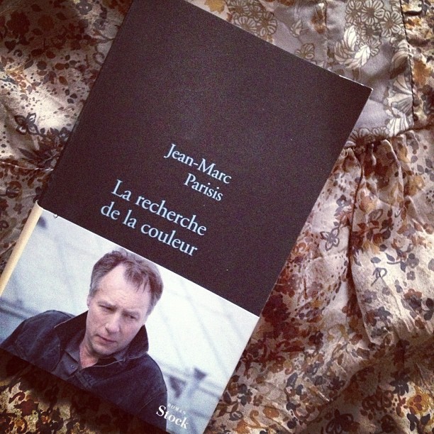 La recherche de la couleur, de Jean-Marc Parisis