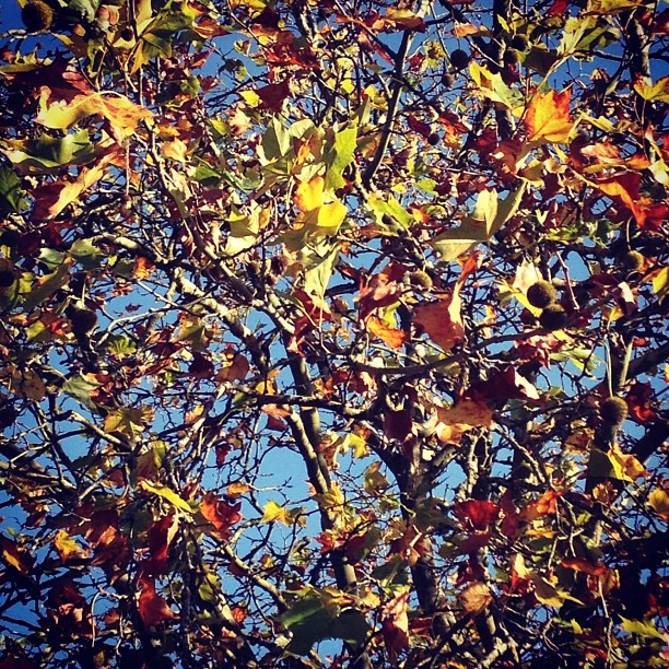 Éloge de l&rsquo;envie