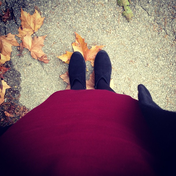 En mots et en images : novembre 2012