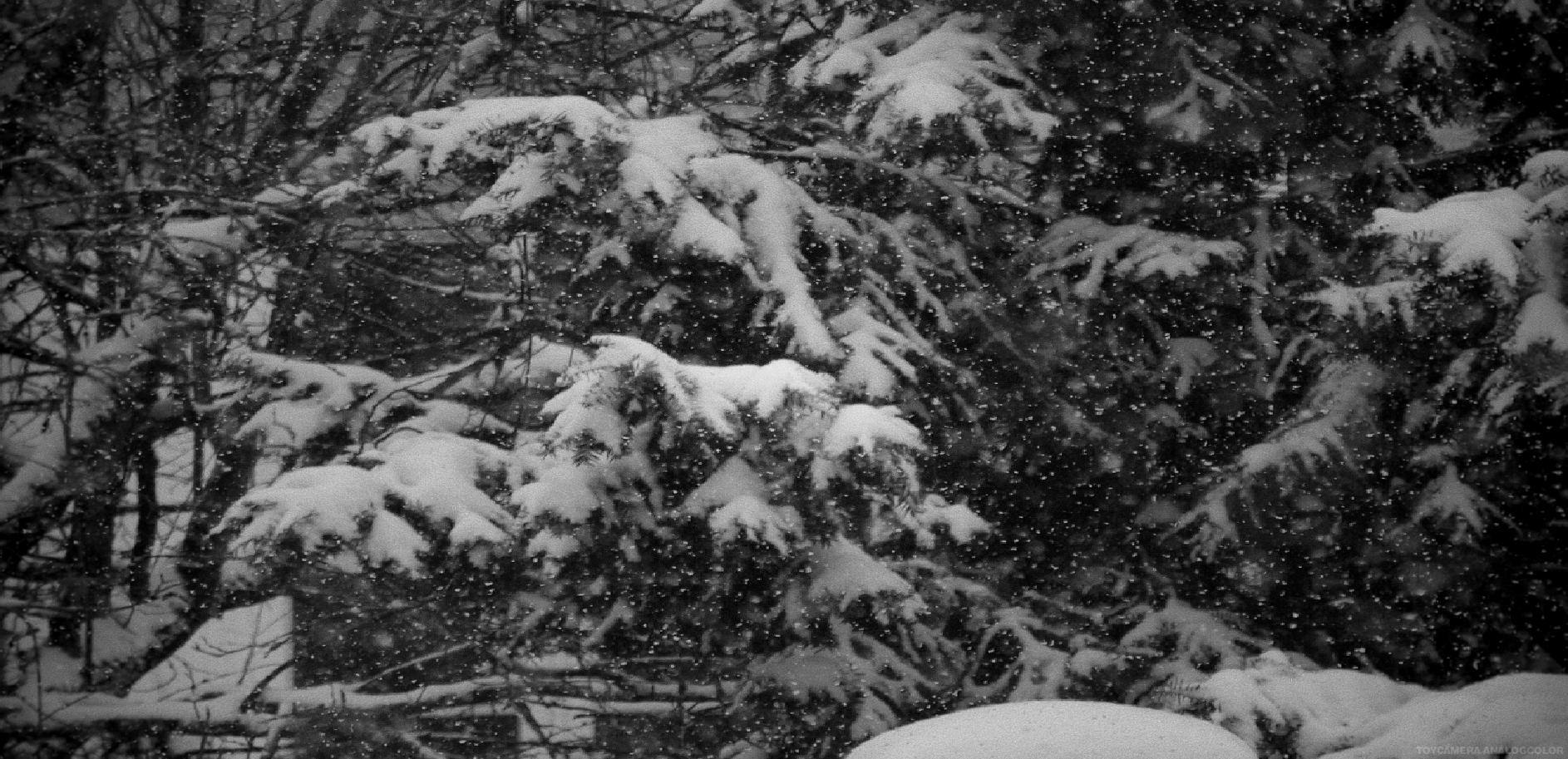 Jours de neige