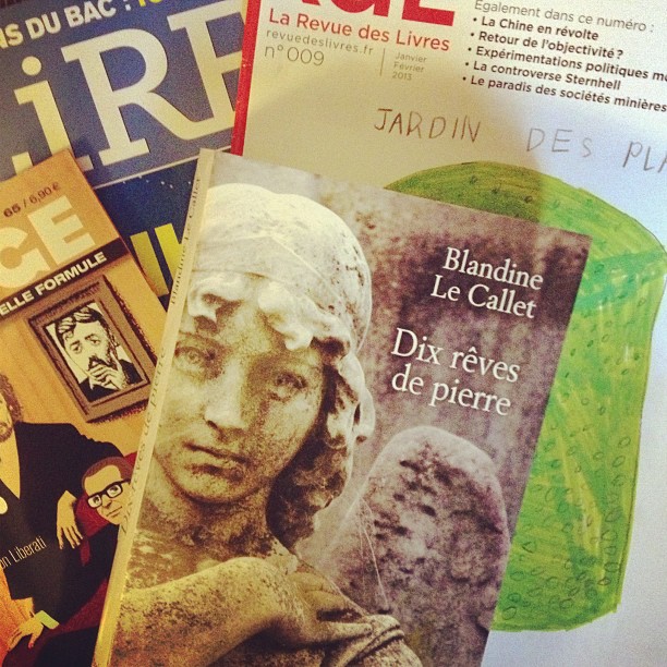 Dix Rêves de pierre de Blandine Le Callet