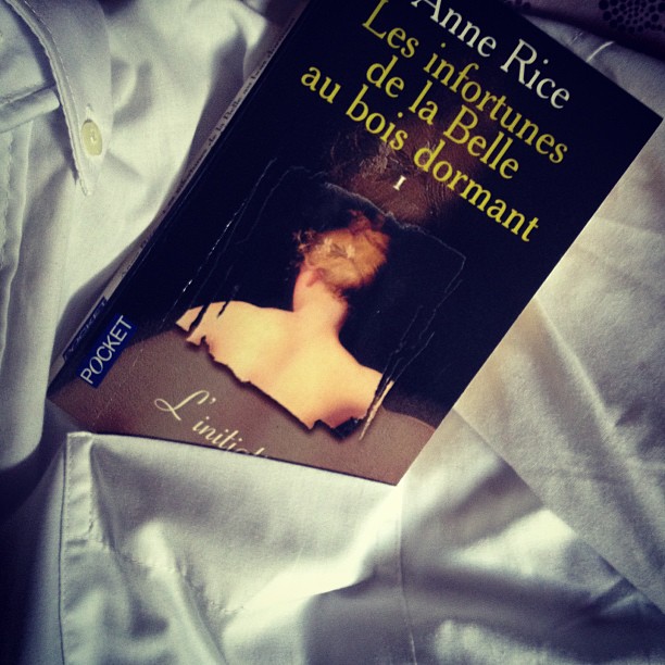 Les Infortunes de la Belle au bois dormant d&rsquo;Anne Rice