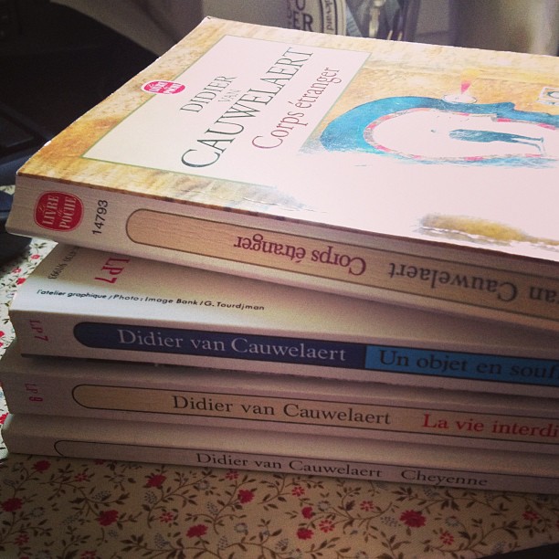 Corps étranger, de Didier Van&nbsp;Cauwelaert