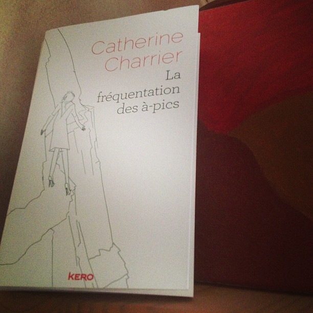 La Fréquentation des à-pics, de Catherine Charrier