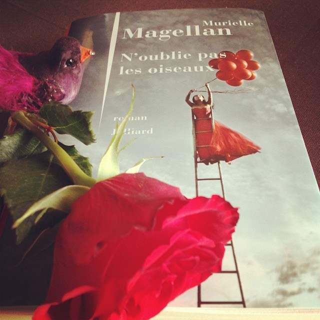 N&rsquo;oublie pas les oiseaux, de Murielle Magellan