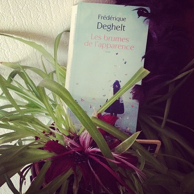 Les Brumes de l&rsquo;apparence, de Frédérique Deghelt