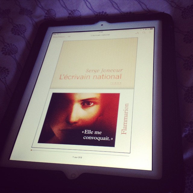 L&rsquo;écrivain national, de Serge&nbsp;Joncour