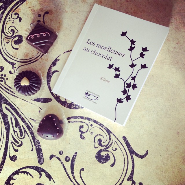 Les moelleuses au chocolat, de Silène