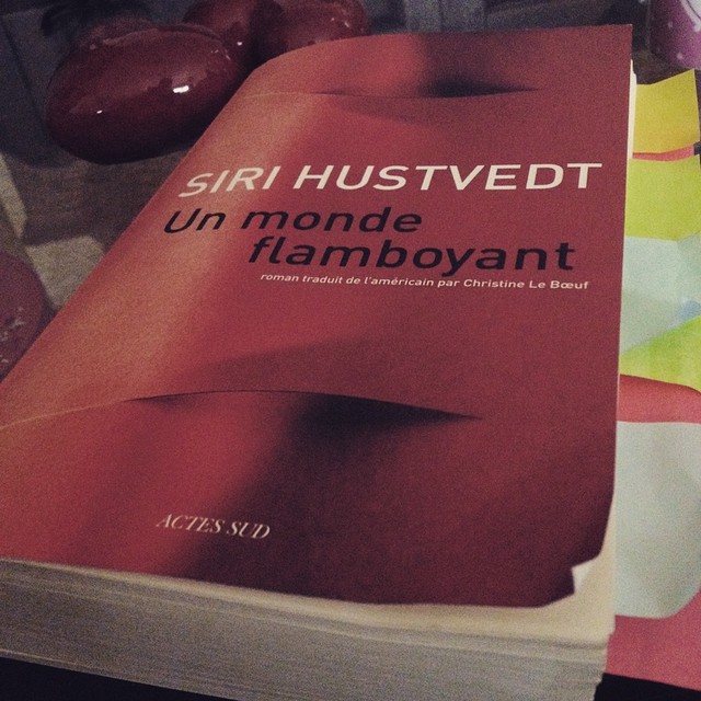 Un monde flamboyant, de Siri Hustvedt