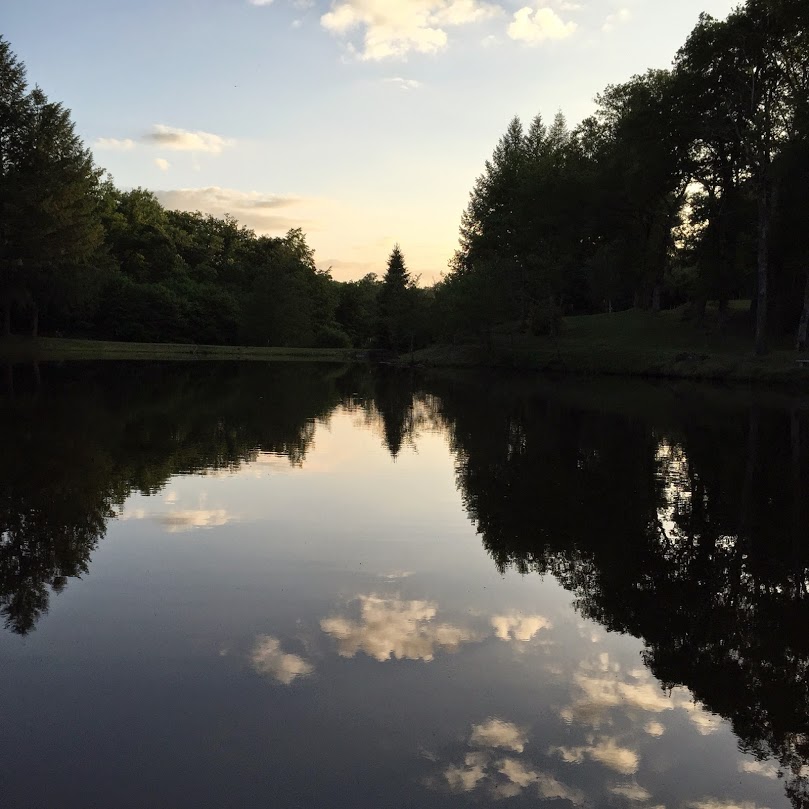 Reflets