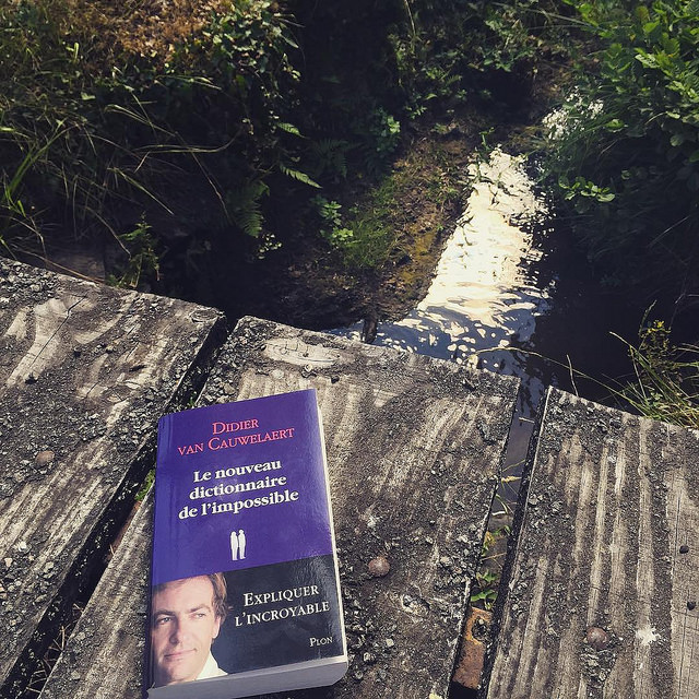 Le nouveau dictionnaire de l&rsquo;impossible, de Didier van Cauwelaert
