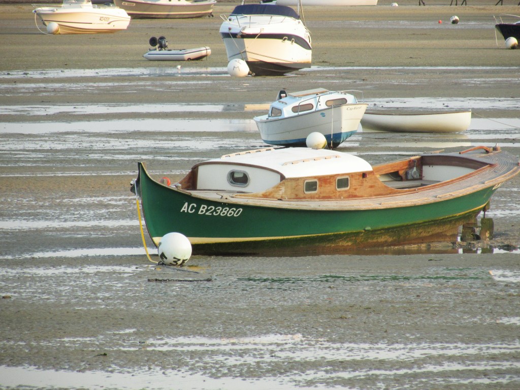 Bassin à marée basse