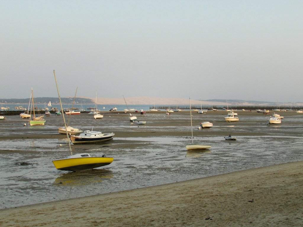 Bassin à marée basse