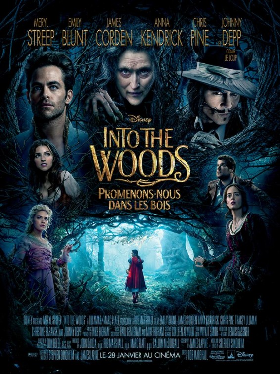 Into the woods, de Rob Marshall