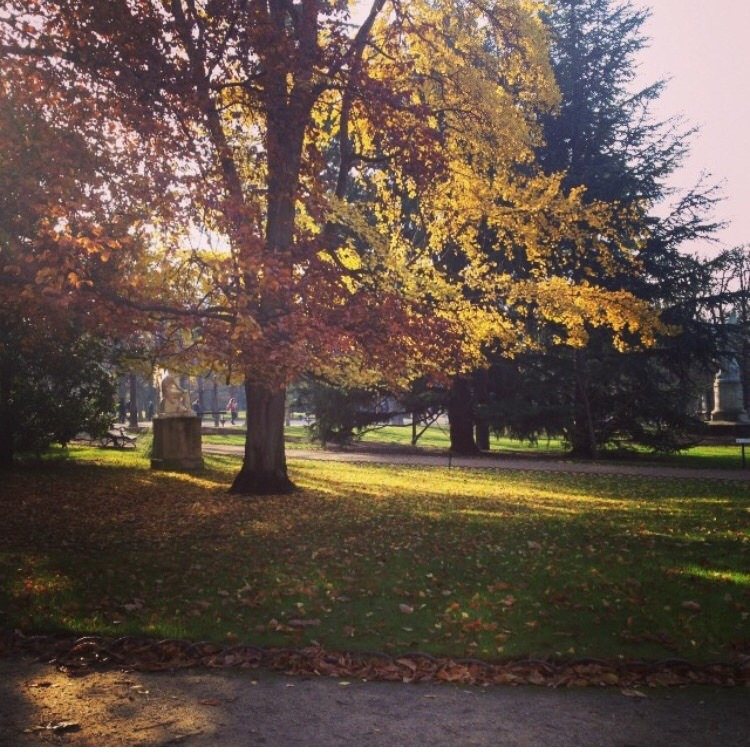 Les petits plaisirs de l&rsquo;automne