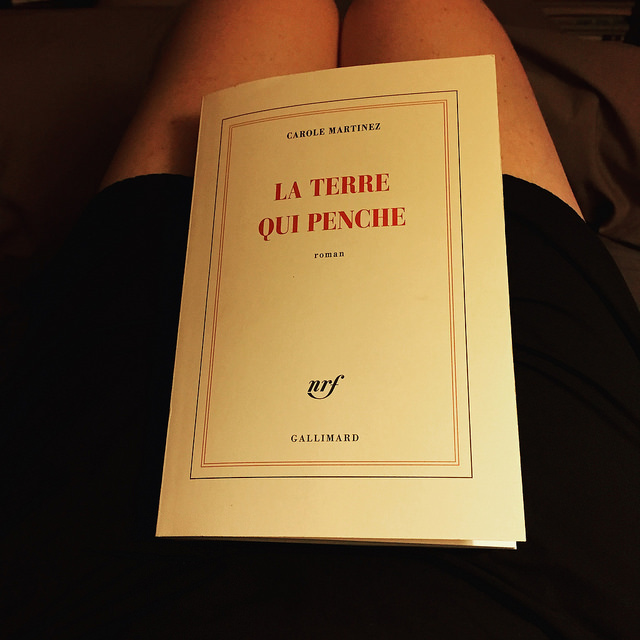 La Terre qui penche, de Carole Martinez