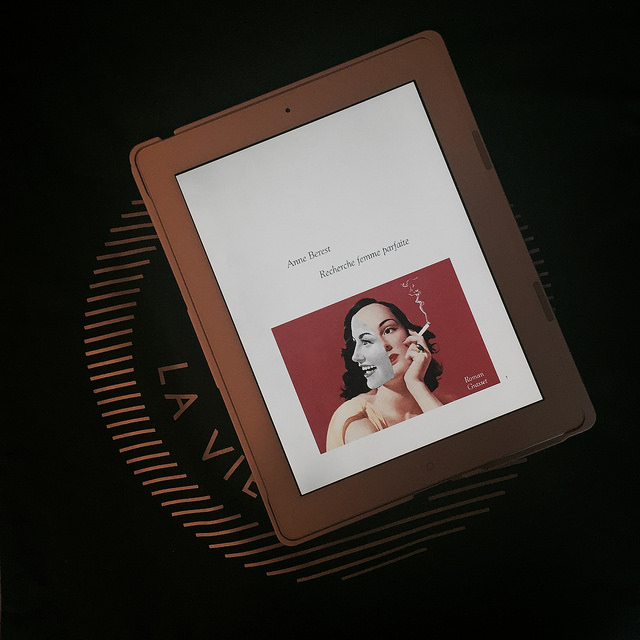 Recherche femme parfaite, d&rsquo;Anne&nbsp;Berest