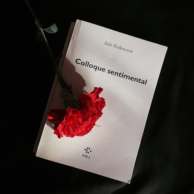 Colloque sentimental, de Julie Wolkenstein