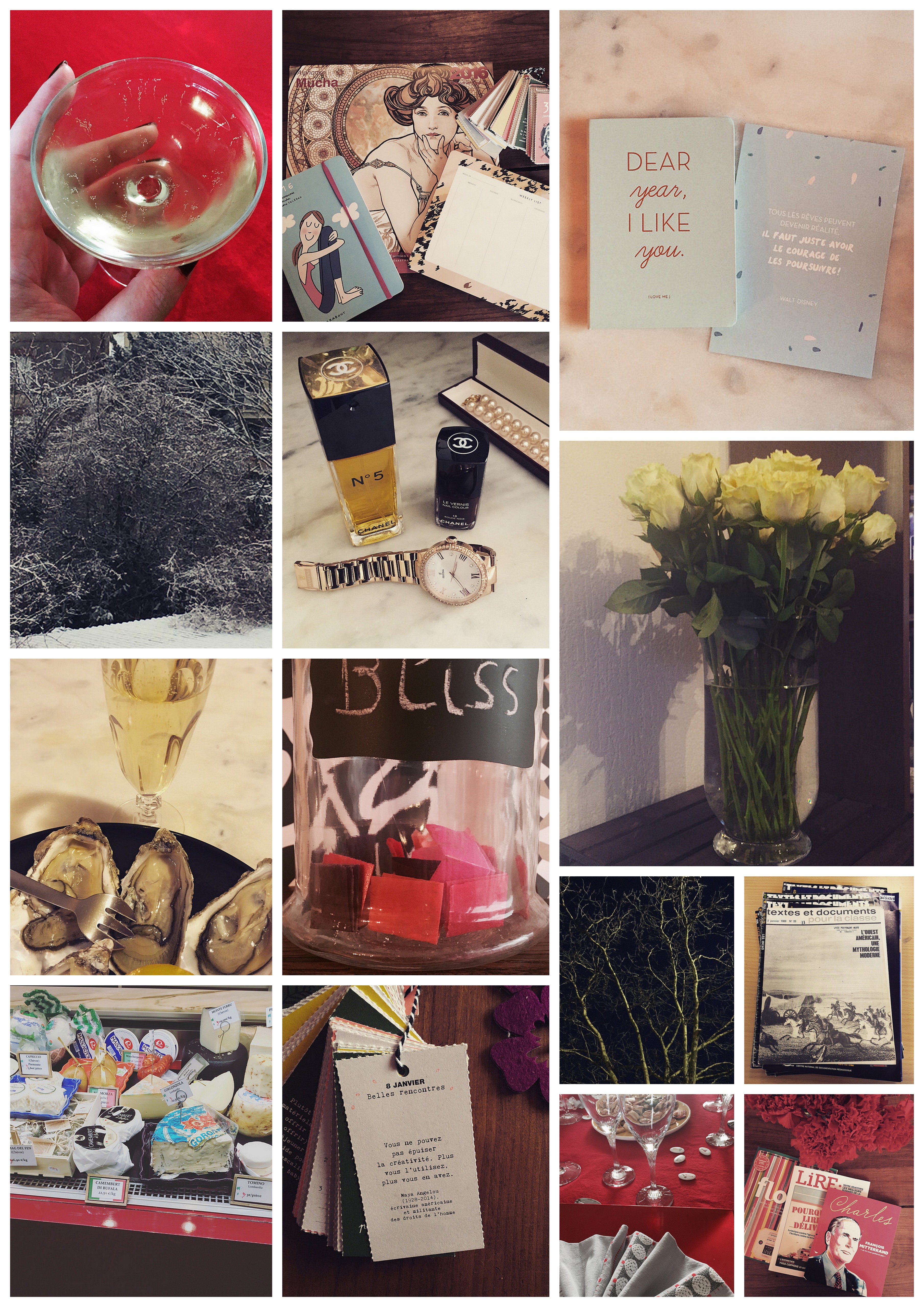 En mots et en images : janvier 2016