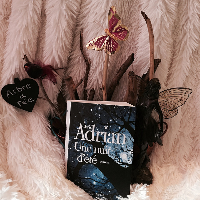 Une Nuit d&rsquo;été, de Chris&nbsp;Adrian