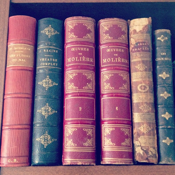 Questionnaire de Pivot