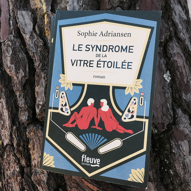 Le syndrome de la vitre étoilée, de Sophie Adriansen