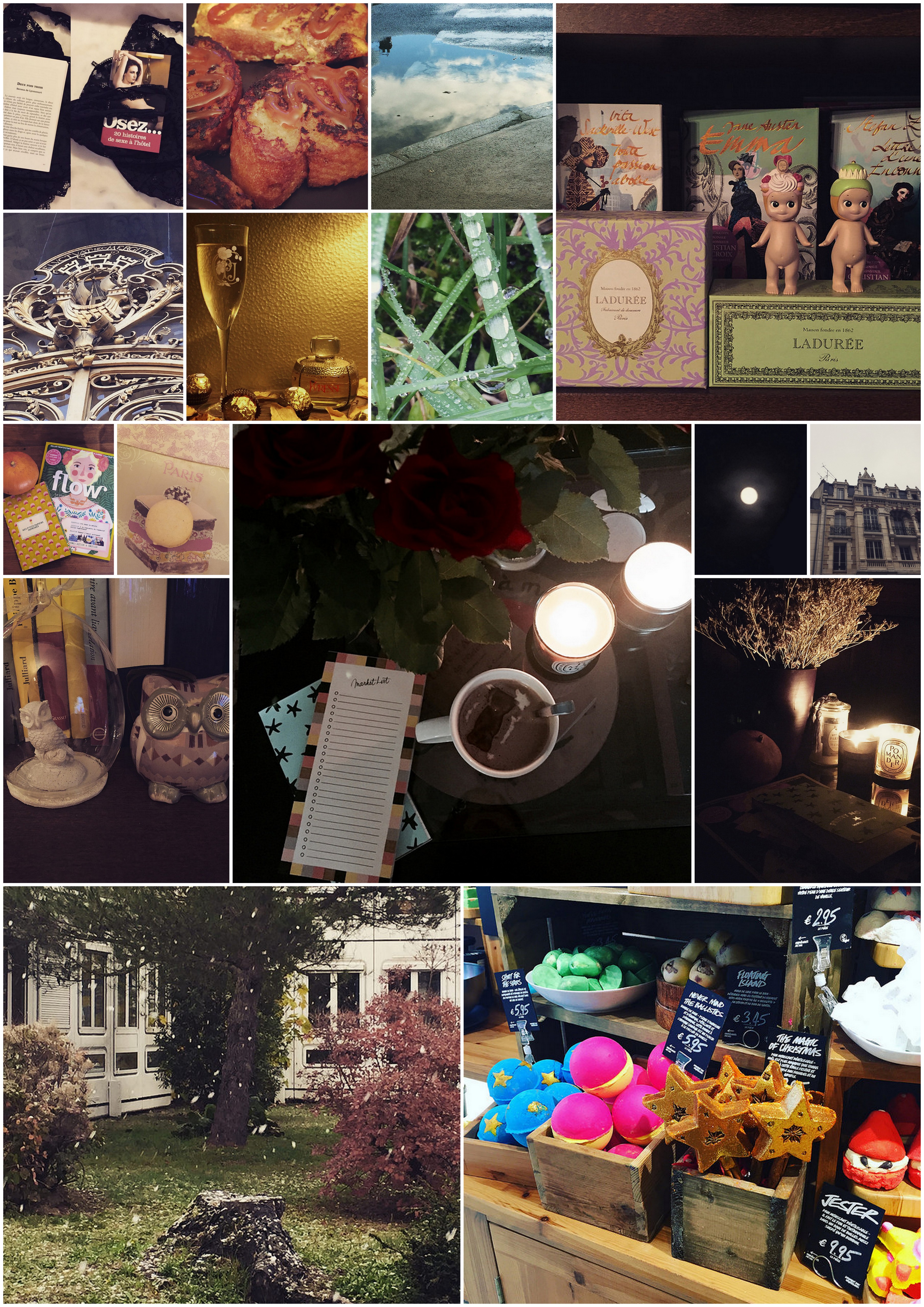 En mots et en images : Novembre 2016