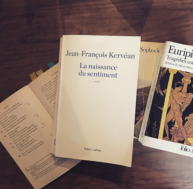 La Naissance du sentiment, de Jean-François Kervéan