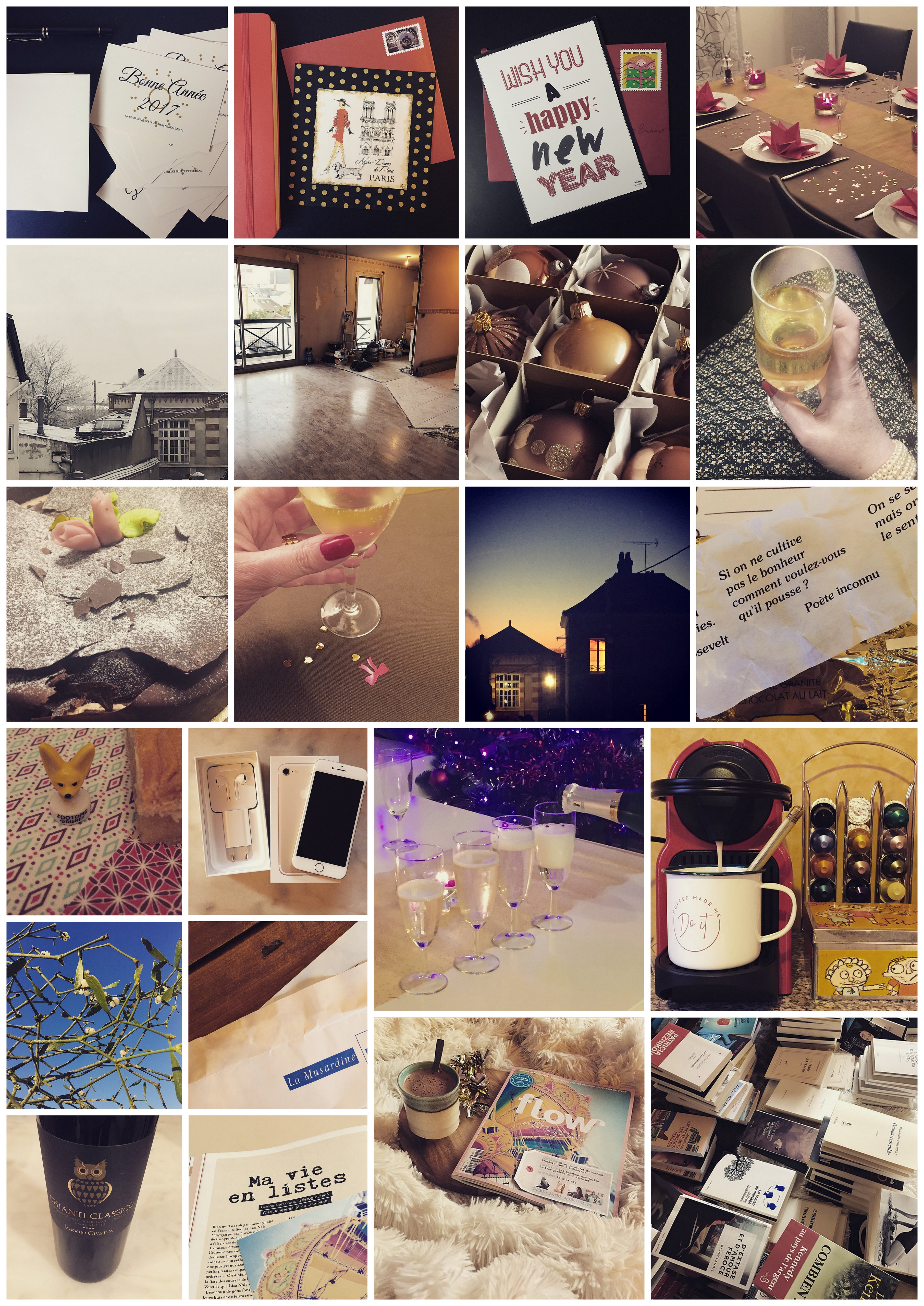 En mots et en images : janvier 2017