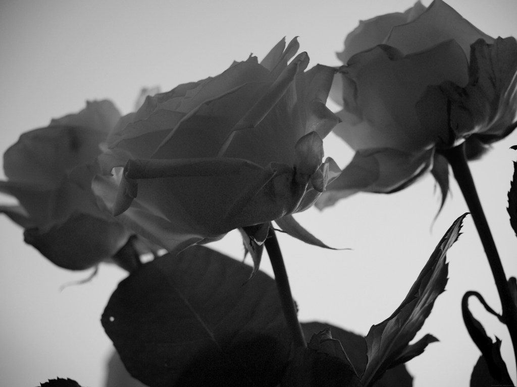 Fermer la porte au nez des&nbsp;fantômes