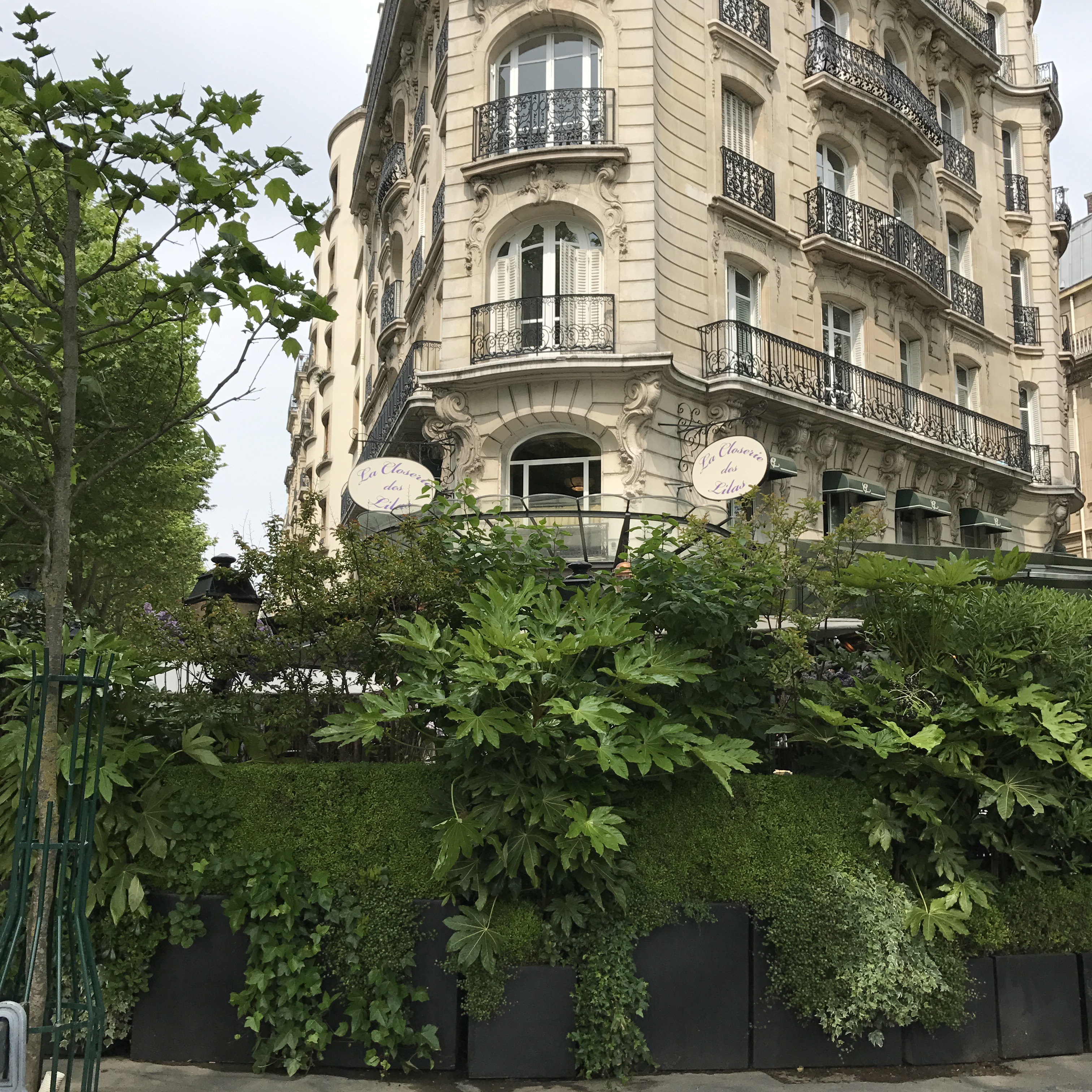 Paris mythique : la Closerie des Lilas