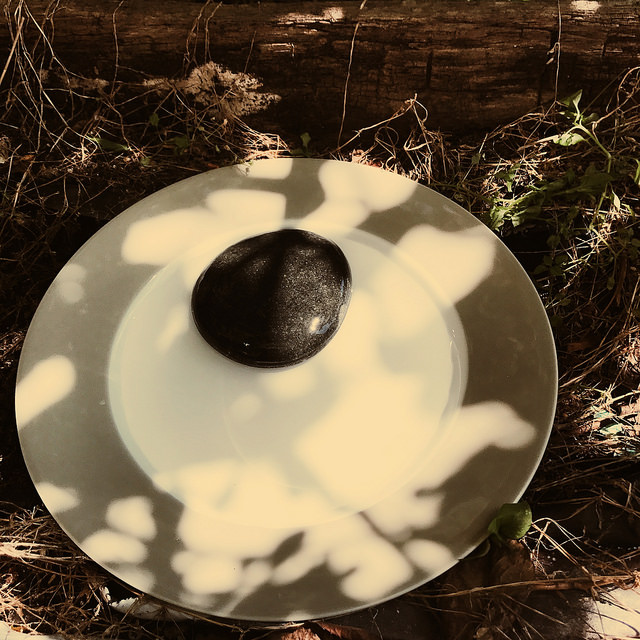 Un abreuvoir (chic) pour les oiseaux