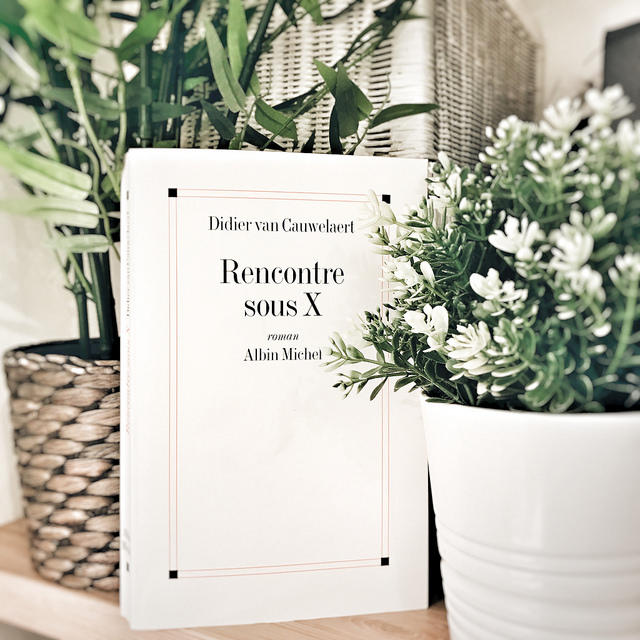 Rencontre sous X, de Didier van&nbsp;Cauwelaert