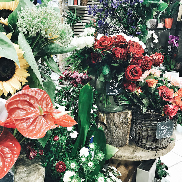 Des fleurs pour bien commencer le mois