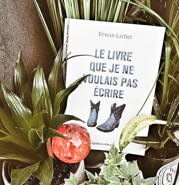 Le livre que je ne voulais pas écrire, d&rsquo;Erwan Larher