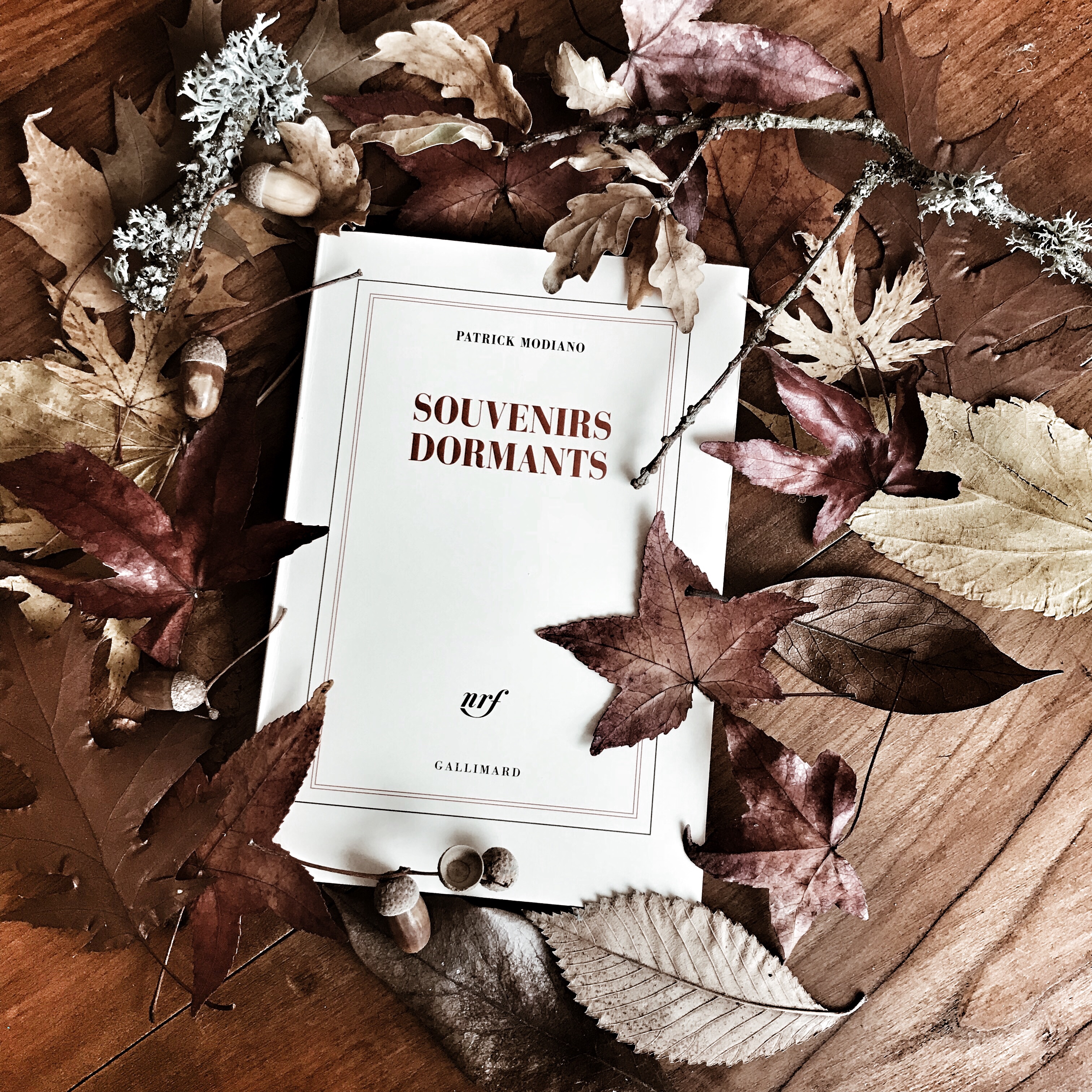 Souvenirs dormants, de Patrick Modiano