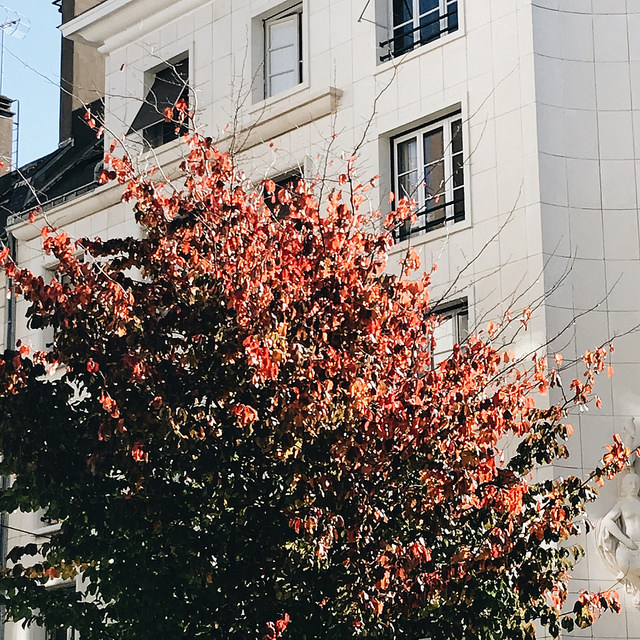 Les couleurs de l'automne
