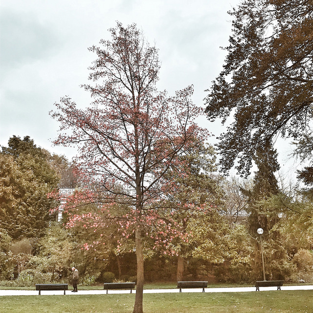 Jardin des Champs-Elysées
