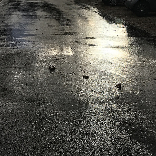 Un rayon de soleil sous la pluie