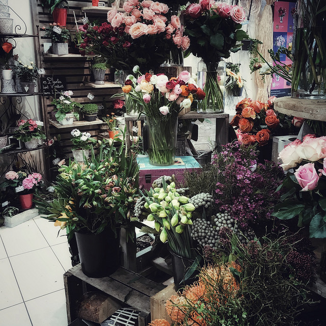 Des fleurs pour le printemps